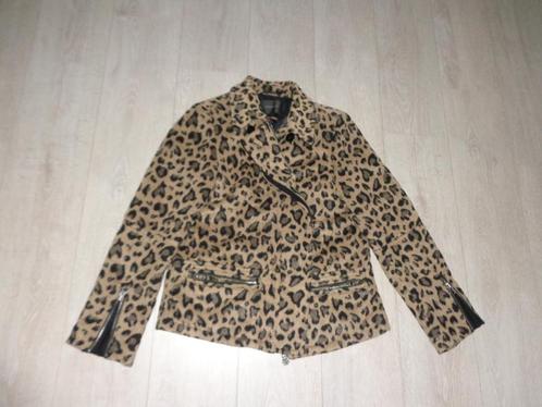 panterprint dames tussenjas van Maison Scotch, maat 4/XL, Kleding | Dames, Jassen | Zomer, Zo goed als nieuw, Maat 46/48 (XL) of groter