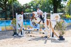 KNAPSTE BOMPROOF ALLROUNDER TE KOOP, Dieren en Toebehoren, Pony's, Dressuurpony, 3 tot 6 jaar, D pony (1.37m tot 1.48m), Merrie
