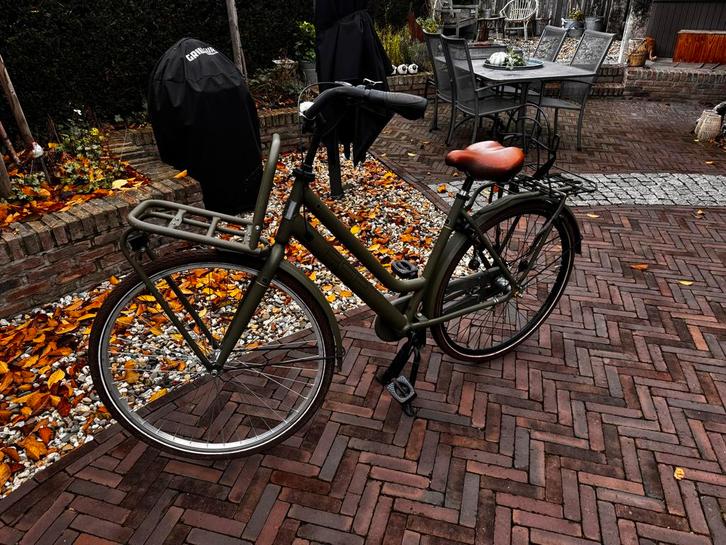 Damesfiets, 51cm, Mat Groen, Fietsen en Brommers, Fietsen | Dames | Damesfietsen, Gebruikt, Overige merken, Versnellingen, 50 tot 53 cm