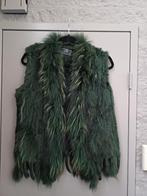 GILET / BODYWARMER ECHT BONT GROEN MAAT M NIEUW, Kleding | Dames, Ophalen of Verzenden, Nieuw, Maat 38/40 (M), Groen