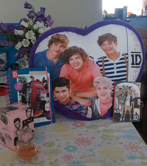 One Direction, Verzamelen, Muziek, Artiesten en Beroemdheden, Gebruikt, Boek, Tijdschrift of Artikel, Ophalen