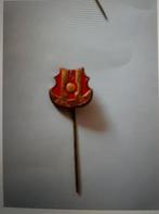 Speldje SV Rigterbeek, Verzamelen, Ophalen of Verzenden, Zo goed als nieuw, Sport, Speldje of Pin