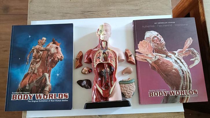 Body Worlds Catalogussen + Anatomisch Model, Boeken, Kunst en Cultuur | Beeldend, Zo goed als nieuw, Ophalen of Verzenden