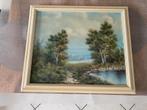 Klassiek Schilderij M.Hill Vennetje in Landschap Ingelijst K, Antiek en Kunst, Kunst | Schilderijen | Klassiek, Ophalen