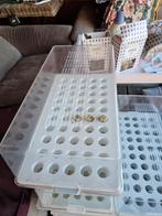 Heel veel moestuin spullen, Ophalen of Verzenden, Kweekbak