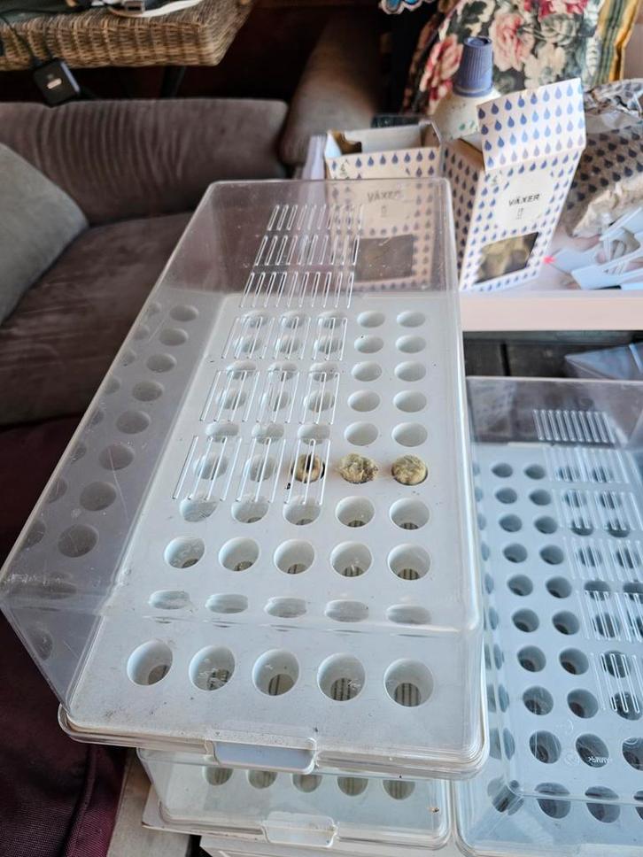 Heel veel moestuin spullen, Tuin en Terras, Kweekspullen, Kweekbak, Ophalen of Verzenden