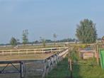 Stalling vrij in Baambrugge, Dieren en Toebehoren, Stalling