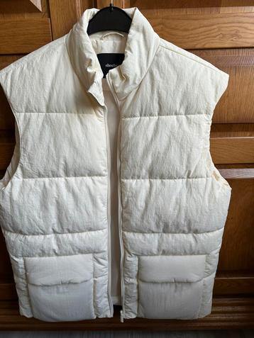 Bodywarmer - Maat L Nieuw beschikbaar voor biedingen