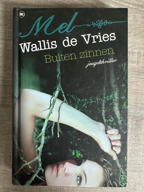 Buiten zinnen – Mel Wallis de Vries, Boeken, Kinderboeken | Jeugd | 13 jaar en ouder, Zo goed als nieuw, Fictie, Ophalen of Verzenden
