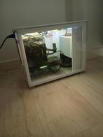 Zeer goedwerkende gaming pc, Computers en Software, Desktop Pc's, Ophalen of Verzenden, Zo goed als nieuw, Gaming, SSD