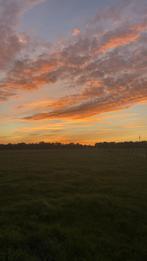 Opzoek naar een verzorg paard!, Huizen en Kamers
