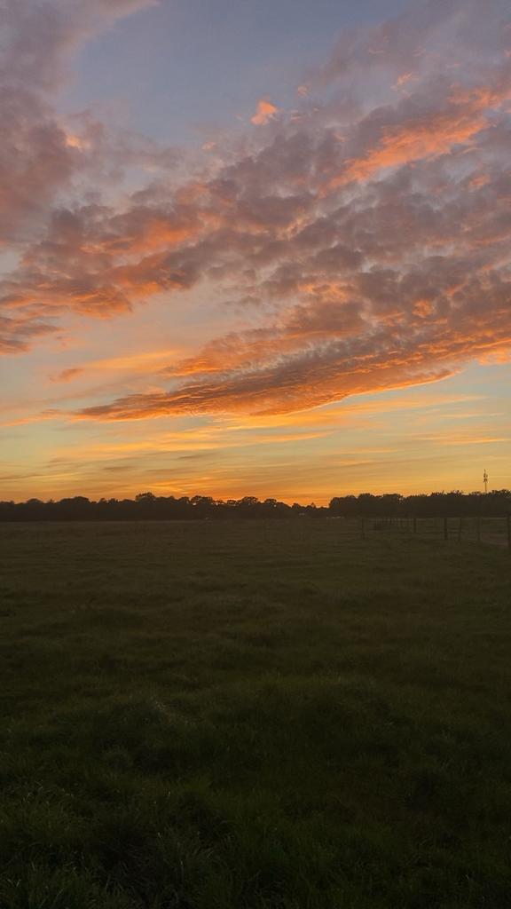 Opzoek naar een verzorg paard!, Huizen en Kamers, Kamers te huur