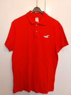 Hollister polo shirt., Maat 52/54 (L), Ophalen of Verzenden, Zo goed als nieuw, Hollister