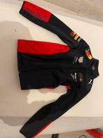 Mooi origineel red bull jasje, Ophalen of Verzenden, Zo goed als nieuw, Blauw