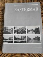 Eastermar / Oostermeer, Dorpsbelang 1990, Boeken, Geschiedenis | Stad en Regio, Ophalen of Verzenden