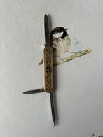 Vintage Bayer Duits Zakmes, Antiek en Kunst, Antiek | Gereedschap en Instrumenten, Ophalen