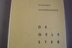 DE GELE STER / Jodenvervolging in Europa / 1933 - 1945 / WO2, Boeken, Verzenden, Tweede Wereldoorlog, Gelezen