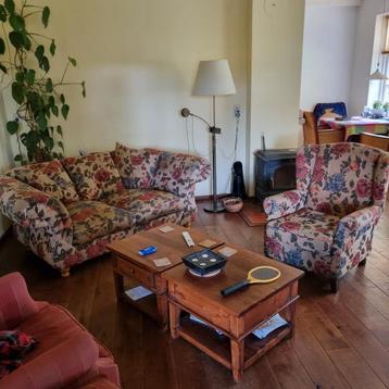 Loungebank met stoel (gratis) beschikbaar voor biedingen