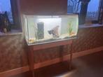 Mooi aquarium op tafel, Dieren en Toebehoren, Vissen | Aquaria en Toebehoren, Ophalen, Zo goed als nieuw, Leeg aquarium