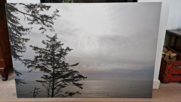 canvas foto Atlantische oceaan met 80 x 120 cm beschikbaar voor biedingen