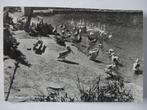 J44 Alphen aan den Rijn - Avifauna, Verzamelen, Ansichtkaarten | Nederland, Verzenden, 1940 tot 1960, Ongelopen, Zuid-Holland