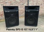 Nette set PEAVEY SP3G   Zeldzaam model in Europa !, Audio, Tv en Foto, Luidsprekers, Zo goed als nieuw, 120 watt of meer, Front, Rear of Stereo speakers