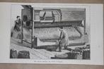Antieke gravure - Machine om  erwten te doppen - 1885 !, Ophalen of Verzenden