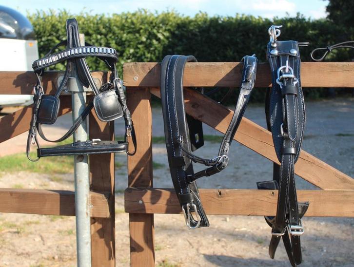 Te koop Mini shetlander mentuig zwart blauw doorstikt nieuw, Dieren en Toebehoren, Paarden en Pony's | Hoofdstellen en Tuigage