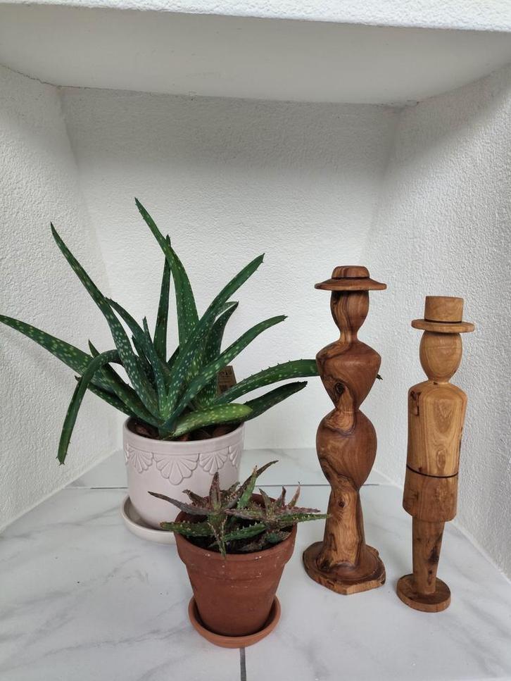 Olijfhouten Beelden Set van 2, Antiek en Kunst, Kunst | Beelden en Houtsnijwerken, Ophalen of Verzenden