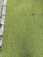 Gratis Kunstgras - Sportveld Kwaliteit, Tuin en Terras, Gras en Kunstgras, Ophalen of Verzenden, Gebruikt, 20 m² of meer, Kunstgras