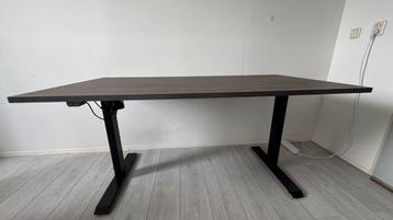 Verstelbaar Zit-Sta Bureau Dextro Basic | Standing Table beschikbaar voor biedingen