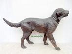 051* Bronzen hond Labrador, Tuin en Terras, Tuinbeelden, Nieuw, Overige materialen, Ophalen, Dierenbeeld