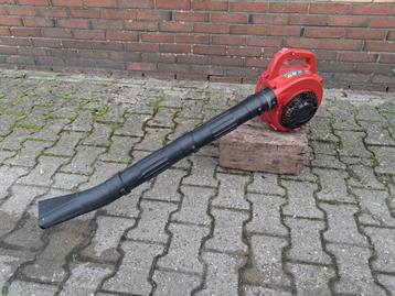 Robin FL 251 Bladblazer – goed werkend beschikbaar voor biedingen