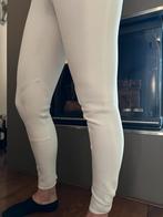 Dames rijbroek van Euro-Start, maat 34 (lengtemaat), Dressuur, Zo goed als nieuw, Dames, Onderkleding