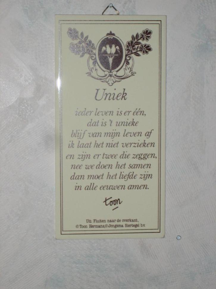 wandtegeltje met tekst van Toon Hermans, Huis en Inrichting, Woonaccessoires | Wanddecoraties, Gebruikt, Ophalen of Verzenden