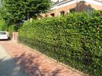 Klusjesman / Tuinman gezocht – €15 per uur