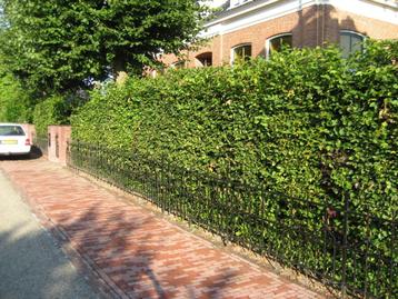 Klusjesman / Tuinman gezocht – €15 per uur beschikbaar voor biedingen