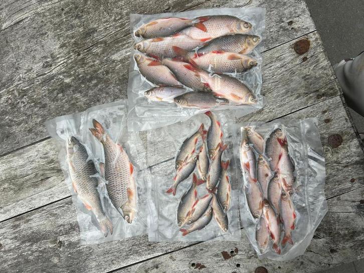 Doodaas Voorns, Dieren en Toebehoren, Dierenvoeding, Ophalen of Verzenden