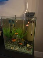 Aquarium, Ophalen, Zo goed als nieuw, Leeg aquarium