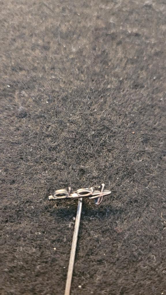 DAF speldjes, Verzamelen, Speldjes, Pins en Buttons, Zo goed als nieuw, Speldje of Pin, Merk, Verzenden