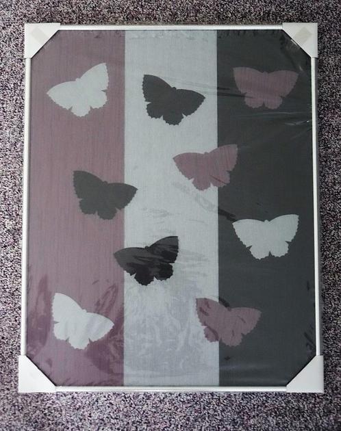 Lijst zilverkleurig 40x50 cm, ontspiegeld glas, met vlinders, Audio, Tv en Foto, Fotografie | Fotolijsten, Nieuw, Ophalen