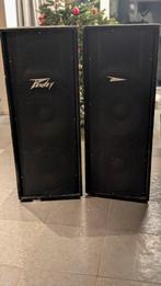 Peavey PV215 Dubbel 15 inch Speakers - Krachtig!, Audio, Tv en Foto, Luidsprekers, Ophalen of Verzenden