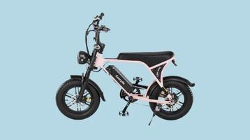 C80 mini fatbike beschikbaar voor biedingen