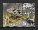 2021, Dwingelderveld, Zandhagedis [3901] (K1113), Postzegels en Munten, Postzegels | Nederland, Ophalen of Verzenden