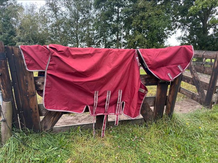 Regendeken Bucas Ruby 175 cm, Dieren en Toebehoren, Paarden en Pony's | Dekens en Dekjes, Ophalen of Verzenden