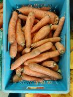 Voederwortels, winterwortels, Ophalen, Overige soorten
