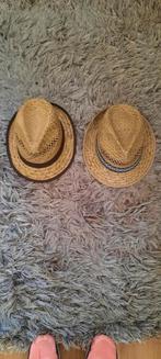 Carnaval hoedjes, Ophalen of Verzenden, Carnaval