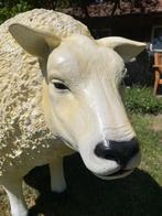 (Tuin)Beeld texel schaap, eye catcher tuin, boerderij, 75 cm, Ophalen, Nieuw, Kunststof, Dierenbeeld