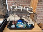 Hamsterkooi met accessoires, Dieren en Toebehoren, Kooi, Minder dan 75 cm, Hamster, Ophalen