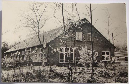 ansichtkaart Drenthe e/o nr. 10 - Havelte, Verzamelen, Ansichtkaarten | Nederland, Gelopen, Drenthe, Ophalen of Verzenden